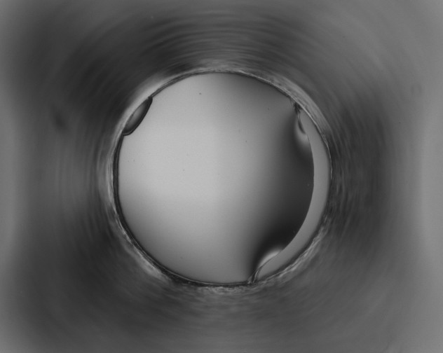 X0000086800812200705111834