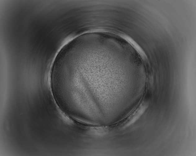 X0000086800813200705111834