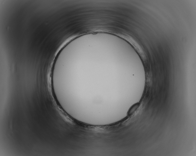 X0000086800814200705111834