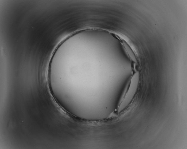 X0000086800815200705111834