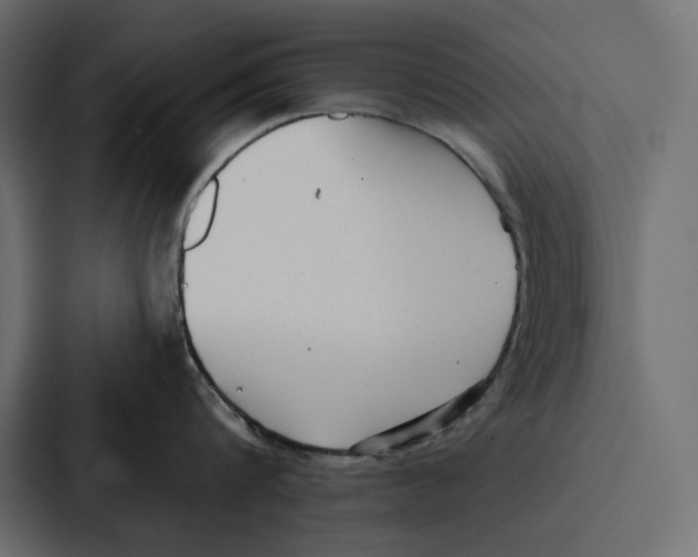 X0000086800816200705111834