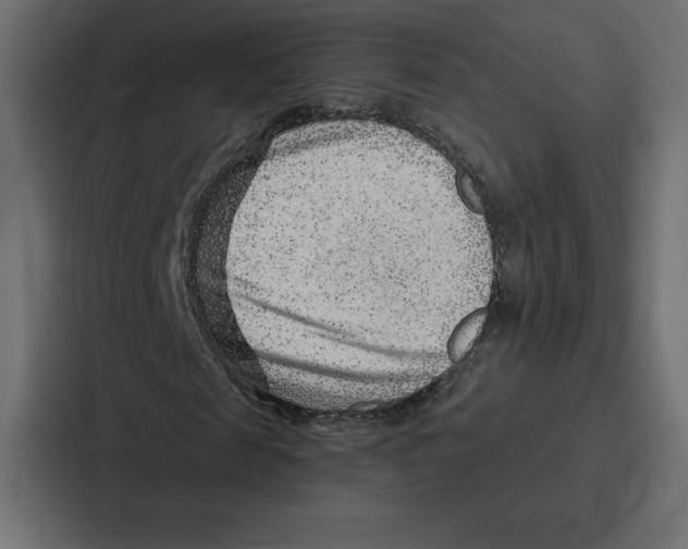 X0000086800817200705111833