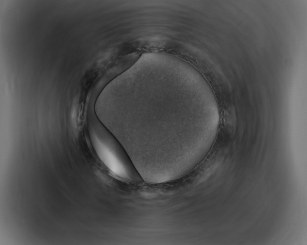 X0000086800818200705111833