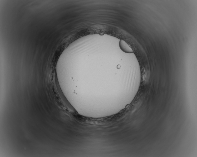 X0000086800819200705111833