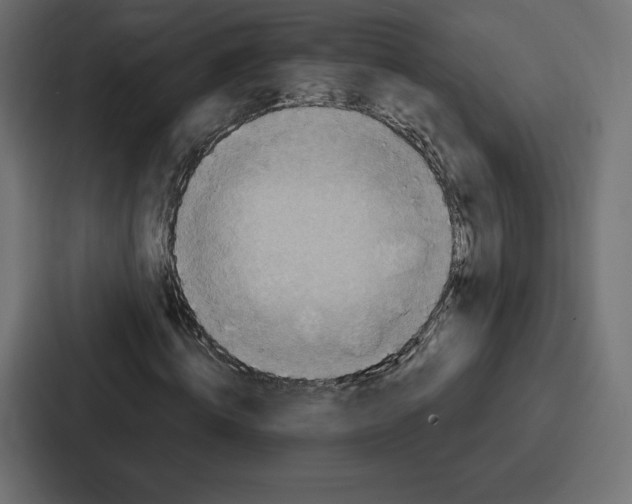 X0000086800820200705111833