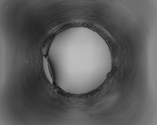 X0000086800821200705111833