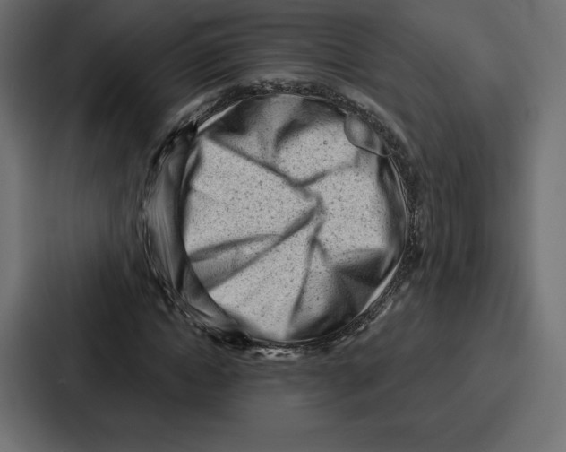 X0000086800822200705111833