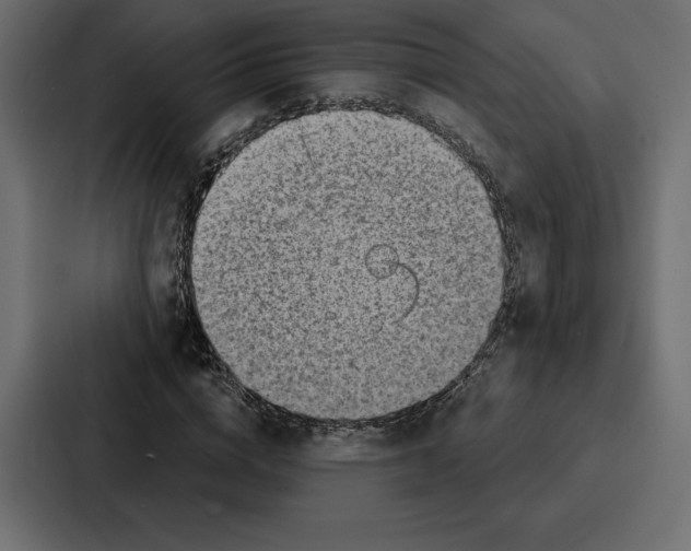 X0000086800824200705111833
