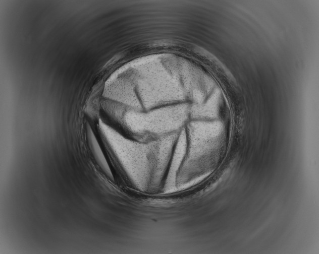 X0000086800825200705111833