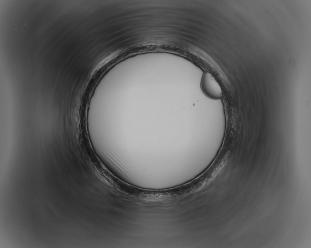 X0000086800826200705111833
