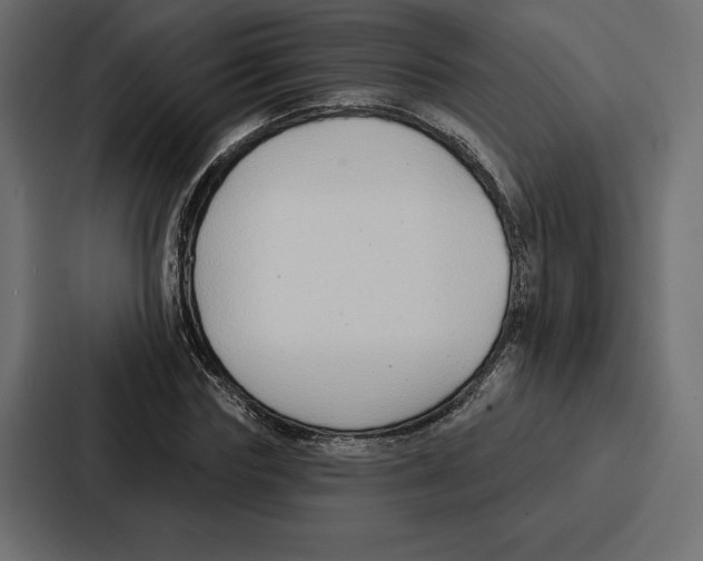 X0000086800827200705111833