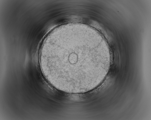 X0000086800828200705111833