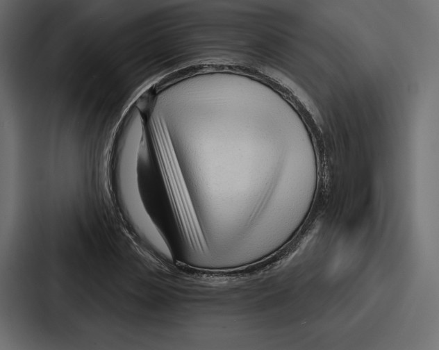 X0000086800829200705111833