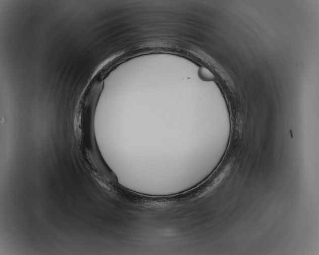 X0000086800830200705111833