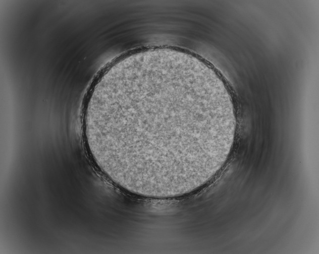 X0000086800832200705111833