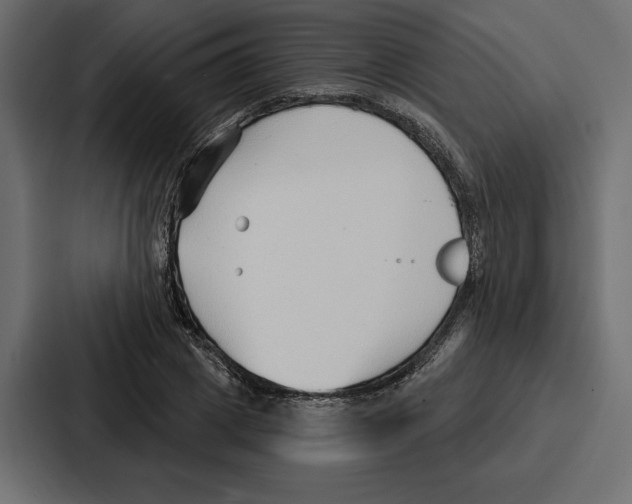 X0000086800833200705111833