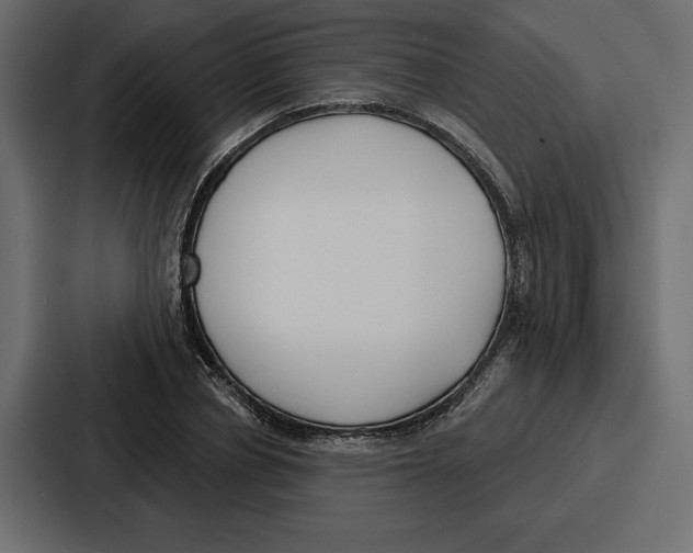 X0000086800834200705111833