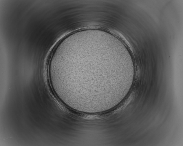 X0000086800835200705111833