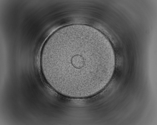 X0000086800836200705111833