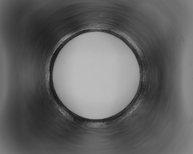 X0000086800837200705111833
