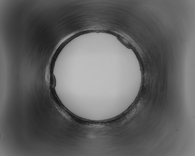 X0000086800838200705111833