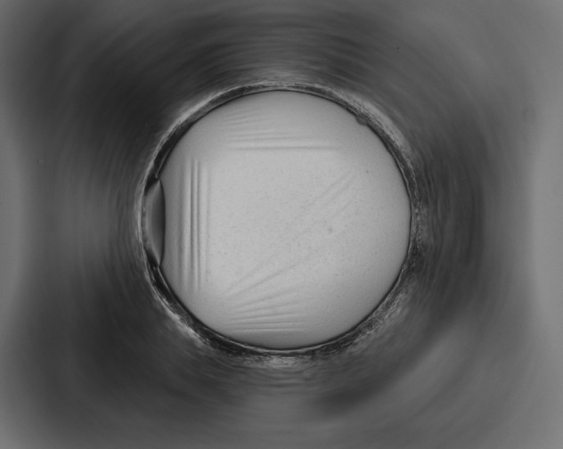 X0000086800839200705111833