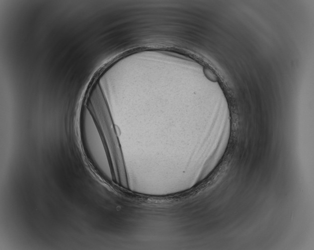 X0000086800840200705111833