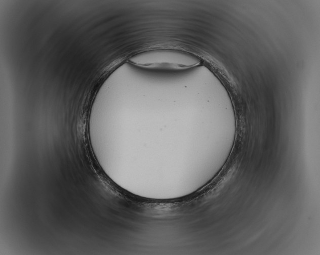 X0000086800841200705111833