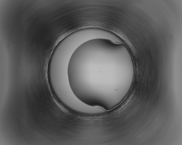 X0000086800842200705111833