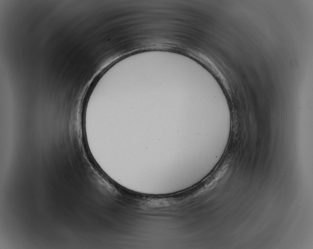 X0000086800843200705111833