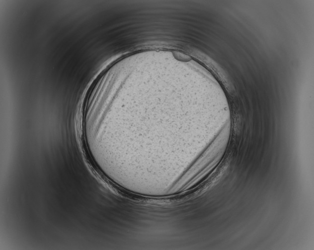 X0000086800844200705111833
