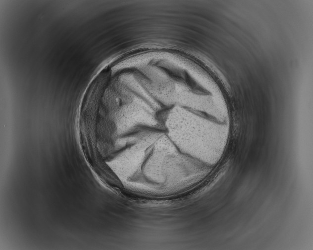 X0000086800845200705111833