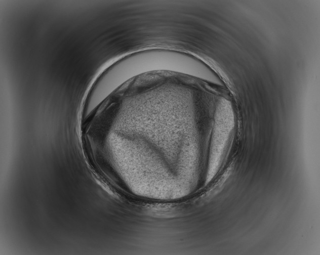 X0000086800846200705111833