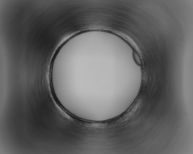 X0000086800847200705111833