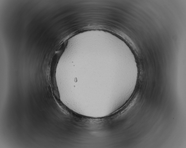 X0000086800849200705111834