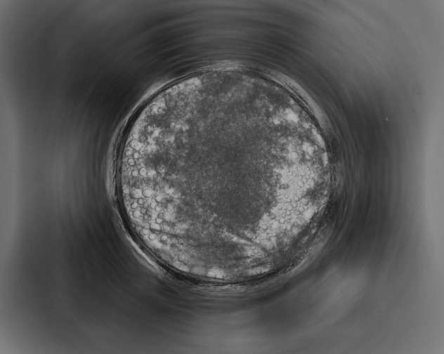 X0000086800851200705111834