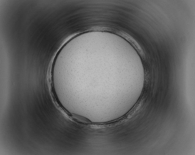 X0000086800852200705111834
