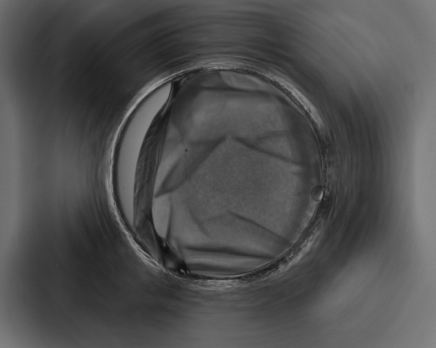 X0000086800853200705111834
