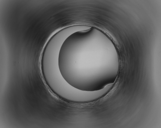 X0000086800854200705111834
