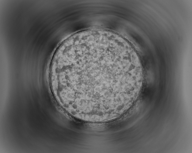 X0000086800856200705111834