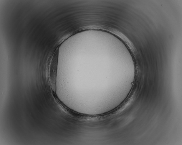 X0000086800857200705111834