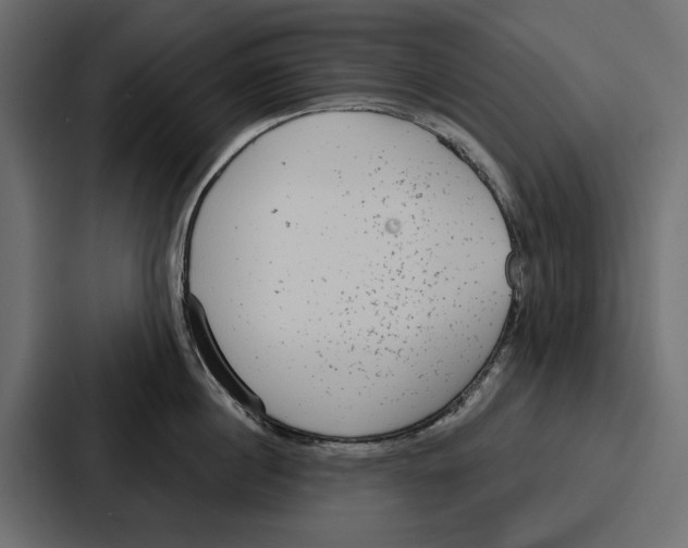 X0000086800860200705111834