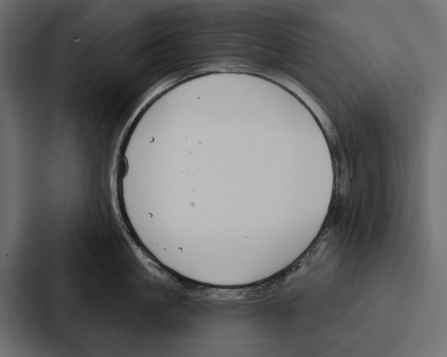 X0000086800861200705111834