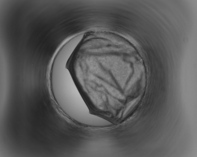 X0000086800864200705111834