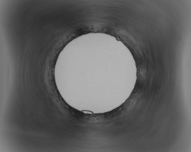X0000086800865200705111833