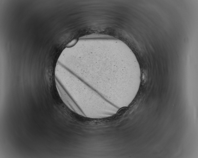 X0000086800867200705111833