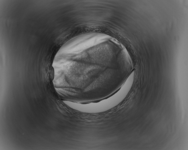 X0000086800868200705111833