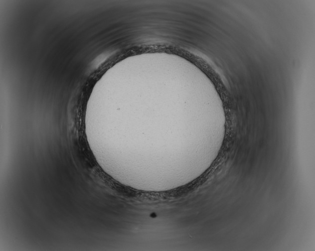 X0000086800871200705111833