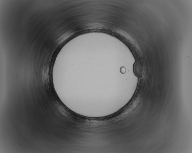 X0000086800873200705111833