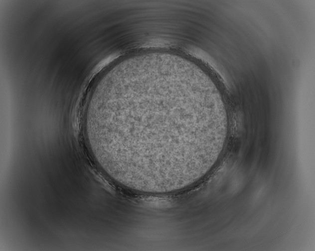 X0000086800874200705111833